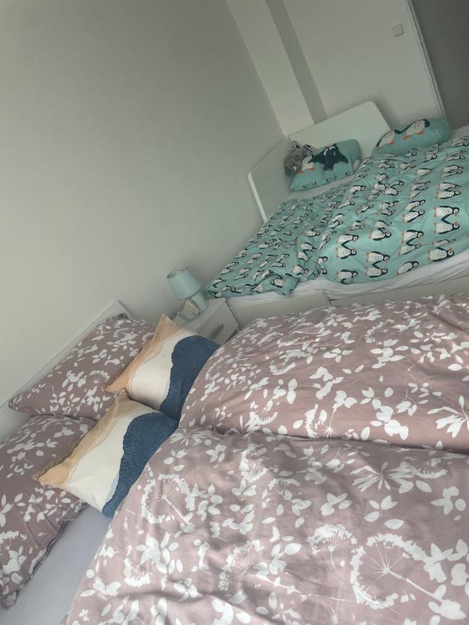 Ivona 2 Zlín